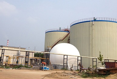 Biogas Power Plants