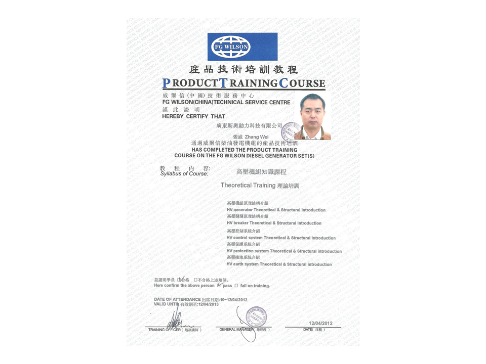 Wilson high voltage generator set training certificate